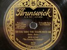Nick Lucas   Crooning Troubadour Tip Toe Thru The Tulips With Me BRUNSWICK 4418