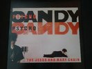 The Jesus And Mary Chain 