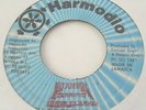 TERRIFIC - Stamma DANCEHALL DIGI MASSIVE Harmodio Orig JA 7