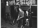Halestorm ?– Into The Wild Life  VINYL LP (NEW/SEALED)