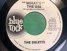 THE DELETTS   WHAT’S THE USE   BLUE ROCK PROMO   Rare Orig. ‘65 Northern Soul