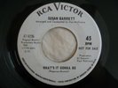 Susan Barrett What's It Gonna Be Rare Northern Soul 45 RCA Promo Original 1967