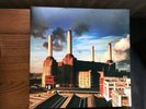 Pink Floyd Animals 12” Vinyl  Gatefold Album