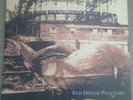 Red House Painters - Red House Painters / Rollercoaster Original Vinyl Double LP