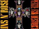 Guns N Roses Appetite for Destruction Vinyl LP New Sealed