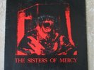 The Sisters Of Mercy  Body Electric P/S  Original pressing  Goth/Punk