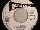 HORACE ANDY - WANNA BE FREE (STUDIO 1) 'QUEEN OF THE MINSTREL' 1979