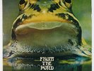 Froggie Beaver - From The Pond LP - Froggie Beaver - Private Prog Psych VG+