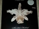 Kings Of Leon - Aha Shake Heartbreak - 2018 HMV Exclusive Transparent Vinyl 2xLP
