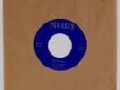PEGASUS: The Sorcerer ’72 Baltimore Private Psych Hard Rock Garage Grail 45 MP3