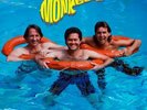 The Monkees - Pool It  (2012)  180g Blue Vinyl LP  NEW  SPEEDYPOST