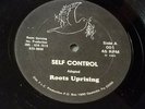 ROOTS UPRISING Self Control PRIVATE Miami Synth Reggae Disco Funk 12”