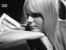C'EST CHIC 180g blonde vinyl LP NEW Jacqueline Taieb France Gall Brigitte Bardot