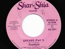 Private Modern Soul 45 AMETHYST Dreams Shar-Shia HEAR Rare