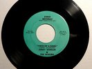JIMMY WHEELER & WAILERS Two Of A Kind /Joey 45 Eskee RARE Moody Garage Rock HEAR