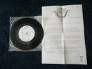 White Test Promo BEBE BUELL, THE CARS - Little Black Egg /Funtime, 7