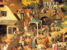 FLEET FOXES Fleet Foxes DOUBLE LP Vinyl Mint