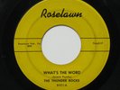 THUNDER ROCKS What’s The Word/Johnny Sax 7” 45 1959 Detroit rock on Roselawn