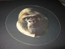 Skid Row - Monkey Business 7
