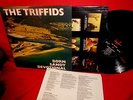 The Triffids Born Sandy Devotional LP 1985 UK Mint- First Pressing Promo