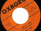 THE JADES Blue Black Hair/Surfin' Crow 1964 OXBORO MN Garage Surf Rockabilly 45