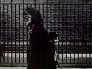 NEIL YOUNG - AFTER THE GOLD RUSH NEW VINYL