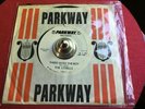 DOO-WOP  THE LYDELLS: THERE GOES THE BOY 45  ( DJ ) PROMO RELEASE UNPLAYED  ??