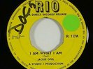 Jackie Opel/Jackie Mittoo & Skatalites 
