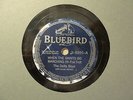 DELTA BOYS (Son Bonds & Sleepy John Estes) - WHEN THE SAINTS - Bluebird BLUES 78