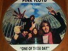 Pink Floyd One Of These Days Picture Disc 1LP Very Rare  OOP