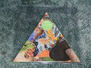 Modest Mouse Poison the Well Mint Green Triangular Vinyl 7