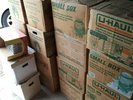 1469 Classical LPs major labels 1/2 chamber 1/2 orchestral 100 CDs 90% EX to M-