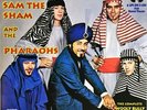 SAM THE SHAM AND THE PHARAOHS - THE COMPLETE WOOLY BULLY YEARS