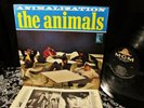 SHRINK  1966 MONO Orig THE ANIMALS  ANIMALIZATION Beat Garage FUZZ PUNK RAVE UP