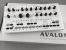 Avalon Analog bassline