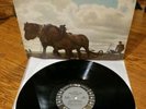 BRUNO WALTER BEETHOVEN STEREO MS 6012 NO. 6 IN F MAJOR OP 68 PASTORALE 6 EYE