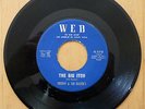 FREDDY AND THE RAVEN'S / THE BIG ITCH b/w ANOTHER LOVE  // Garage Rockabilly 45