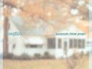 New Music Lungfish 
