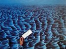 EINZELGANGER s/t LP NEW VINYL Oasis reissue Giorgio Moroder Kraftwerk