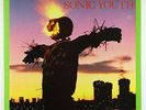 Sonic Youth - Bad Moon Rising LP - Blast First/Homestead VG+
