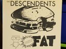 DESCENDENTS 'Bonus Fat' EP; 1985 SST Milo Aukerman Spot Bill Stevenson
