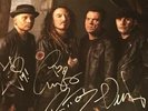 The Wildhearts - Renaissance Men Signed Autographed 12 Inch Vinyl