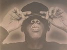 JAY Z - The Black Album - Vinyl (2xLP)
