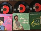 3 DEE DEE SHARP 45 W/ PICTURE SLEEVES DO THE BIRD ,RIDE, YOU'LL NEVER BE MINE