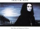 Dead Or Alive - Mad, Bad, And Dangerous To Know Limited Edition