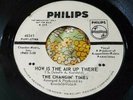 Snotty Mod Garage Fuzz Punk Promo 45 Changin' Times How is the Air Up There HEAR