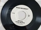 THE DILS - I HATE THE RICH / YOU'RE NOT BLANK 1977 ORIGINAL USA