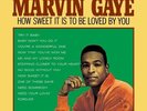 Marvin Gaye - How Sweet It Is To Be Loved By You - Vinyl LP (5353650)