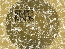 Simple Minds ?– Once Upon A Time. LP. Picture Disc. Mint.