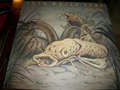 Thin White Rope ?– Bottom Feeders - LP 12